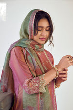 Load image into Gallery viewer, Pink Pure Tissue With Fancy Placement Embroidery Work Designer Long Salwar Suit