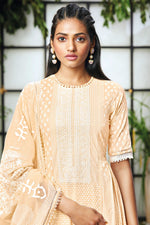 Load image into Gallery viewer, Beige Pure Cotton Khadi Block Print With Embroidery Straight Cut Salwar Kameez