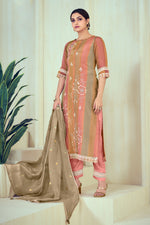 Load image into Gallery viewer, Pink Pure Tissue Organza Digital Print Salwar Suit
