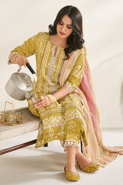 Pure Cotton Hand Block Print Embroidered Daily Wear Salwar Kameez