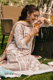 Classic South Cotton Ethnic Wear Salwar Kameez