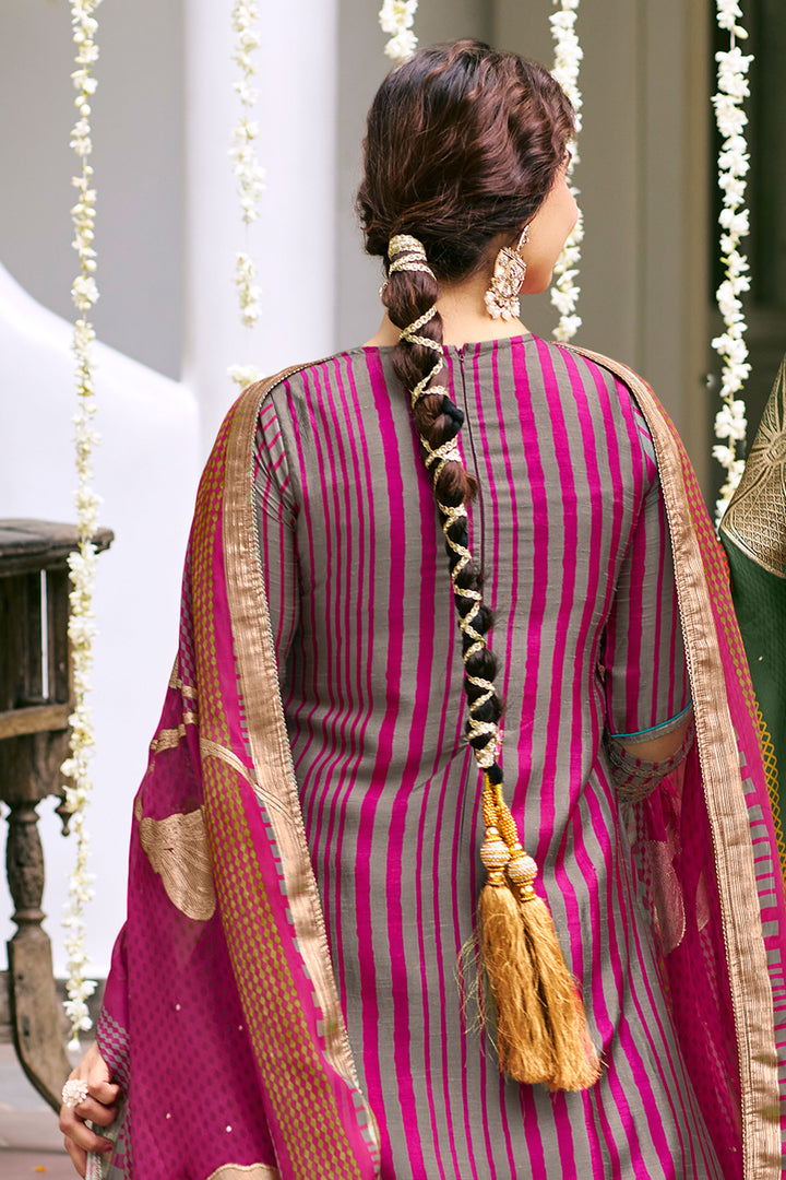 Rani Bemberg Silk Slub Digital Print With Embroidered Straight Cut Dress