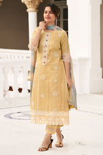 Load image into Gallery viewer, Pure Organdy Block Print Straight Cut Salwar Kameez
