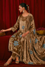 Load image into Gallery viewer, Brown Pure Viscose Velvet Fancy Embroidered Disigner Dress
